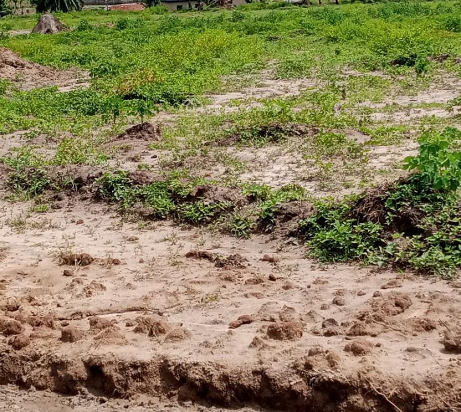  500sqm residential Land in Alveena Luxury Villas, Katampe Extension Phase 2